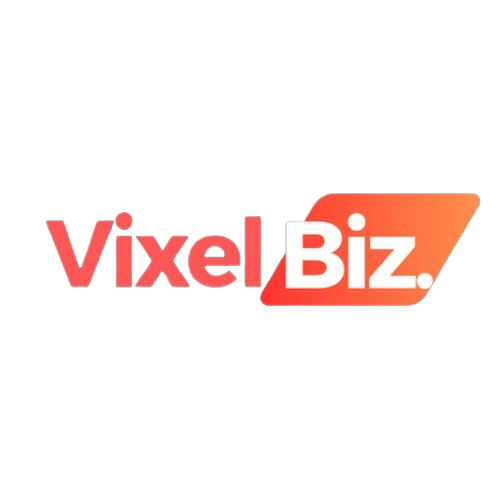 VixelBiz – Best SEO Agency in Delhi | SEO services in Delhi NCR
